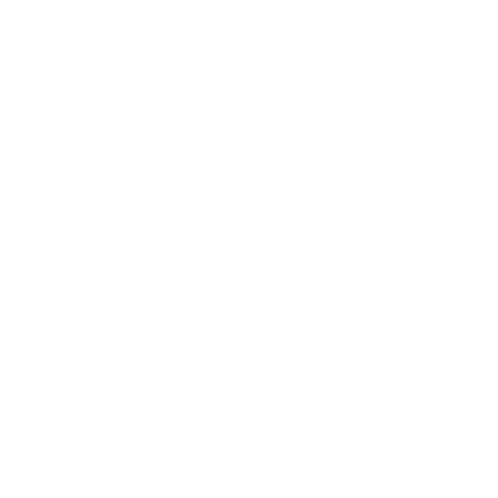 VinFast